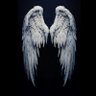 Leowillofgod's profile picture. A Philomath | Art Enthusiast | Catholic ✝️ “𝑺𝒆𝒆𝒌 𝒂𝒏𝒅 𝒚𝒐𝒖 𝒔𝒉𝒂𝒍𝒍 𝒇𝒊𝒏𝒅”