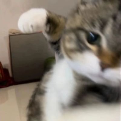 Harta,tahta awan dan emeng🐾

https://t.co/NrvycDmrZH