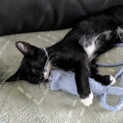 pret_letter's profile picture. 