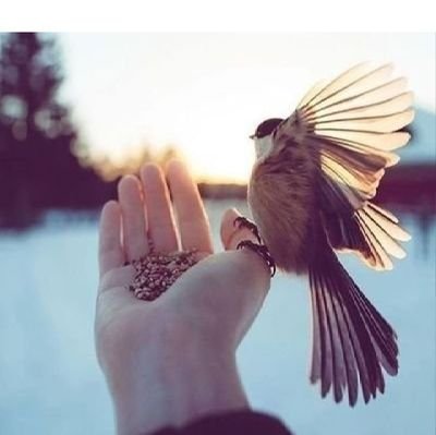 BMR40001's profile picture. لاإله إلاأنت سبحانك اني كنت من الظالمين