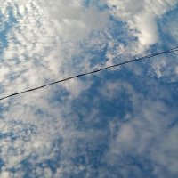 Big Peace🤍 not piece 🧩 (@big_peace1472) 's Twitter Profile