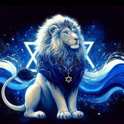 Passionné d’histoire, feuj et fier ! am yisrael chai💙🤍💙🇮🇱 white lives matter🇺🇸