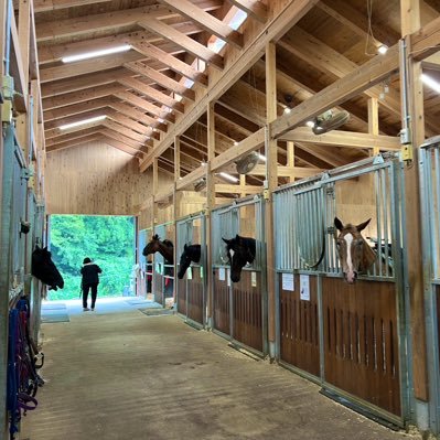 opking8823's profile picture. もみじとエビス