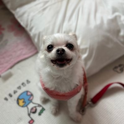 kyungeunni's profile picture. 