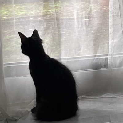 hazzaiueo's profile picture. 