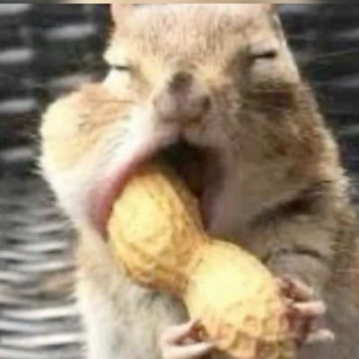 floresyamore's profile picture. the private account to my private account