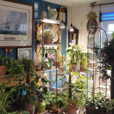 pudds1111's profile picture. phytophile