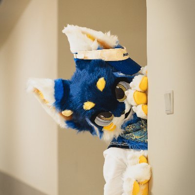 Cambrian_RW2's profile picture. 这里是阿纪,一个快门民工