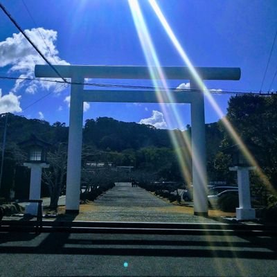 tokyo8mogura21's profile picture. 