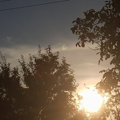 Squaash16Vibes's profile picture. Yes