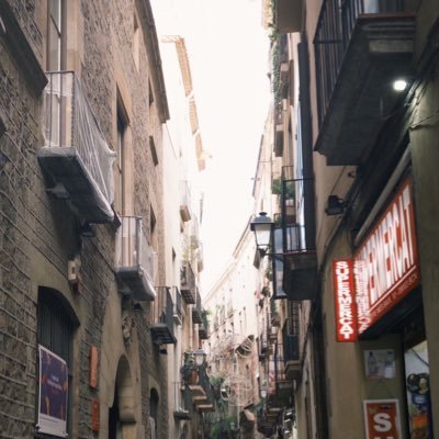 LvOsls's profile picture. SXS相手固定(RPはスゼのみ)の字書き┊︎成人済