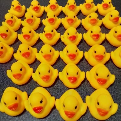 MunEQh4NJdOWsoF's profile picture. 東京競馬開催中🐧コンセプトカフェには行きませんよ❗お休み😌🌃(⁠◕⁠ᴗ⁠◕⁠✿⁠)