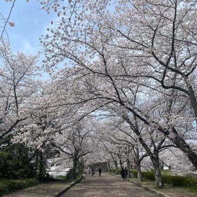 daiki1003_n's profile picture. 