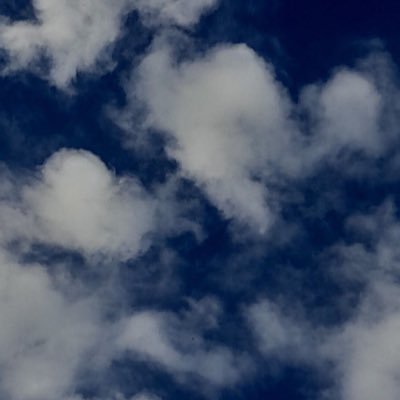 Minoooo12345's profile picture. 