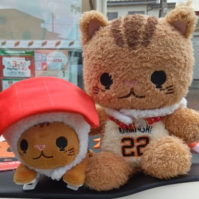 I3Saydc's profile picture. 30↑  巨人応援中🐰 #22#24#27#10
捕手推し❤︎