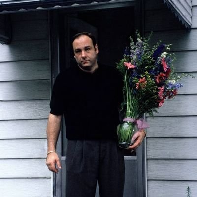 KushBisen's profile picture. Software Engineer. Bitcoin Maximalist