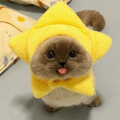 qrxng_xr's profile picture. FOLLOW BACK😍💯😍💯😍💯😍💯😍💯 FOLLOW BACK😍💯😍💯😍💯😍💯😍💯