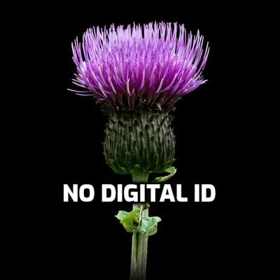 lochvue's profile picture. #DeliberatelyDefiant   🦄 Saor Alba gu bràth. 󠁧󠁢󠁳󠁣󠁴󠁿🏴󠁧󠁢󠁳󠁣󠁴󠁿