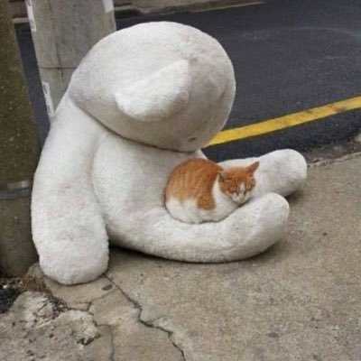 snrnrpzzghdrls's profile picture. 