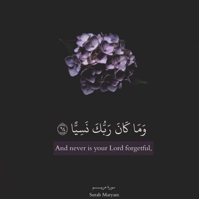muna_gardi's profile picture. «تُنسیٰ کَأنَّکَ لَمْ تَکُن..»