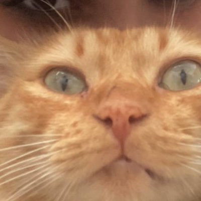 _seemyart's profile picture. 22