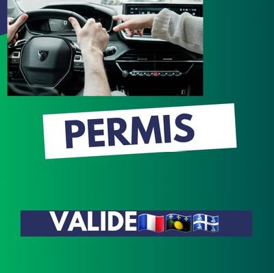 Spécialiste des démarches de régularisation et de titre permis de conduire enligne,code , poids lourds 🚛, moto etc...
#produit/service
