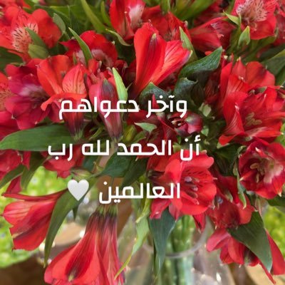Monirhsaleh's profile picture. هدوء  بعيدة عن الضوضاء