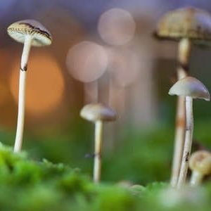 Q3tWhDBxmO1658's profile picture. 