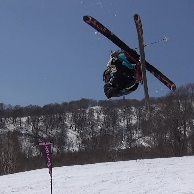 forestdesign25's profile picture. 