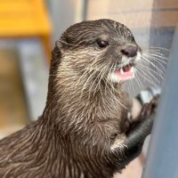 ポイ活用 (@yuka___sn) 's Twitter Profile Photo