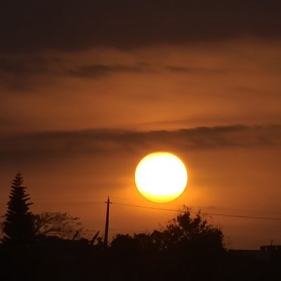 0xAdio's profile picture. Content Writter and Crypto enthusiasts 
Bullish on all Crypto projects 
GMI 💯