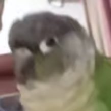 daDemois's profile picture. I post my tf2 oc and other tf2 content here! PFP is my brib🥰 Main acc @daDemosaic