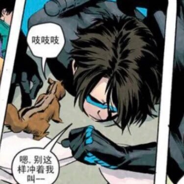 XX1115DXX's profile picture. 🎨 | 中文/EN上手|低浮上| 💙Dick Grayson中心💙