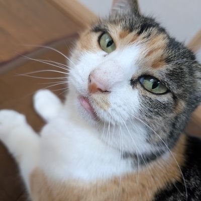 takutake1013's profile picture. 