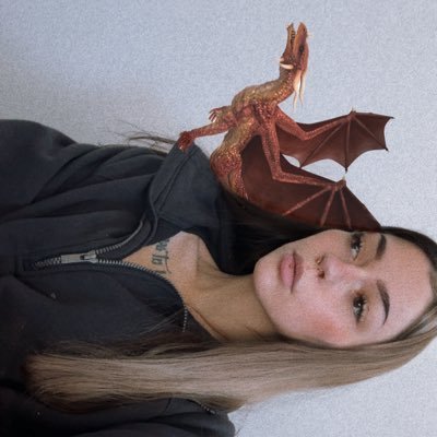 𝔚𝔢𝔩𝔠𝔬𝔪𝔢 𝔱𝔯𝔞𝔳𝔢𝔩𝔢𝔯 , this is a cozy corner of Dragonstone . Gothic horror reader, asoiaf Stan, & most importantly a gamer . 26/24 books read🧸⚔️✨