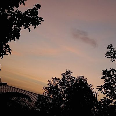 thats_raka's profile picture. 