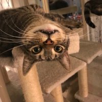 JoRedHook (@j0j0522) 's Twitter Profile