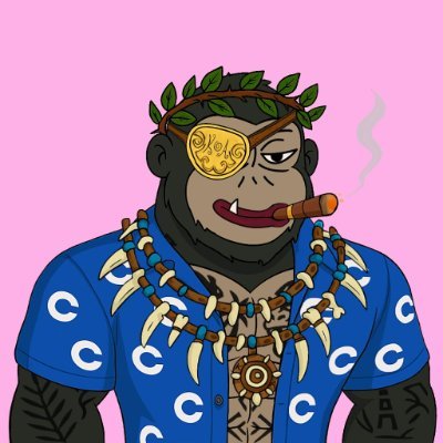 cryptodegenbase's profile picture. Lead dev at Basecoin