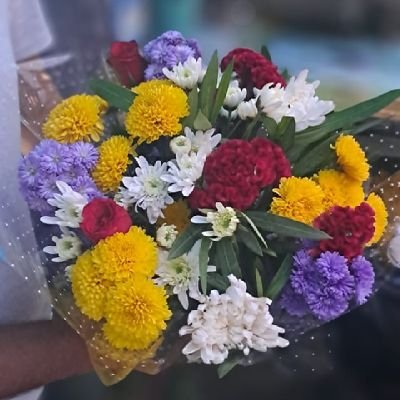mkrkanodiaa's profile picture. 
