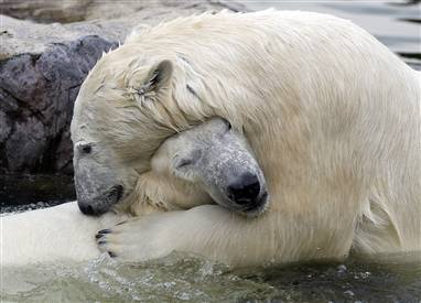 Lizzie2626's profile picture. Looking for anything fun!
A friend will calm you down when you are angry. A best friend will skip beside you with a bat singing, ♫ Someone’s gonna get it ♫