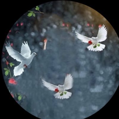 Lamo_A_'s profile picture. اللهم ارحم و اغفر #لأبي و #لأختي و تجاوز عنهما و اجعل قبرهما روضة من رياض الجنة فقدُكُما ليس هينًا على قلبي لكن استسلمت برضا لك يالله فـ ارضني