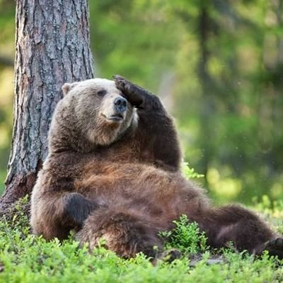 a fat pseudo-bear | almost a medievalist | twitter is now a industrial scale piss factory - Armando Iannucci (he/him)