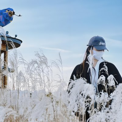 HoshizoraCaf's profile picture. 独立して生きたい気持ちはずっと変わらない。日本の風、スウェーデンの空、タイの海が背中を押してくれる。投資は私の静かな味方🌿
大好きな日本に追いつきたい✨