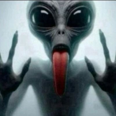 s0manysins's profile picture. 🗝 
 ᛝ Any pronouns ◞ 19                                                                         
Multifandom                      
i have a official Tiktok acc