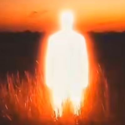 rajnisihsingh's profile picture. Researcher