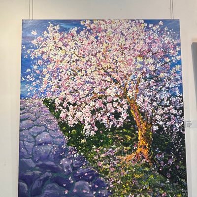 SongJia158's profile picture. 