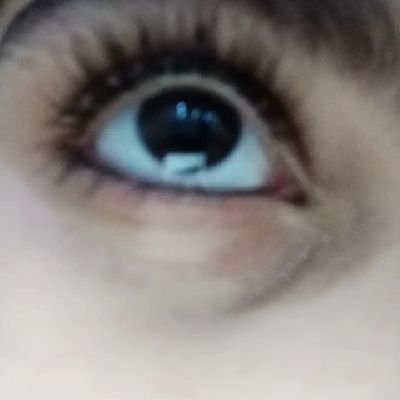 s93784207's profile picture. 