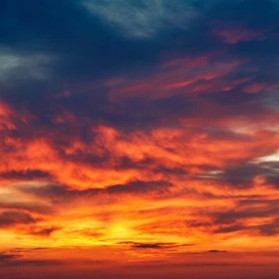 yumplcool's profile picture. haggling for pidgeon