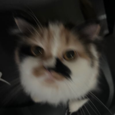 qxzwxp's profile picture. 🐏🤍 / justmebeingfei. / Doyle 🎀🖤 / ☁️✨| @panutthon