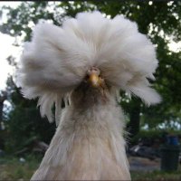 Cleggy (@sewellleigh) 's Twitter Profile Photo